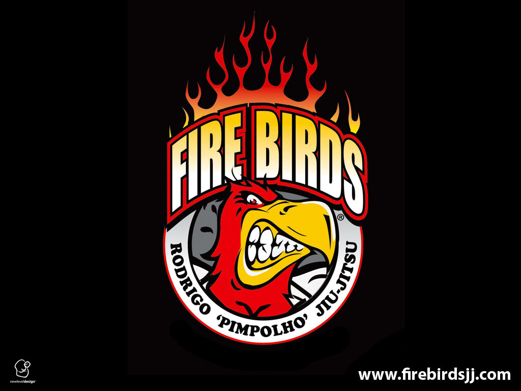 gracie barra Firebirdsjjs Blog