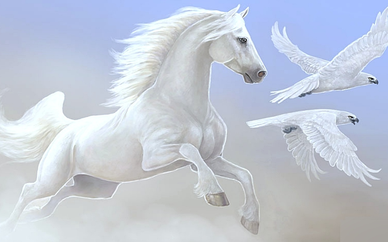 Beautiful Horse Wallpaper