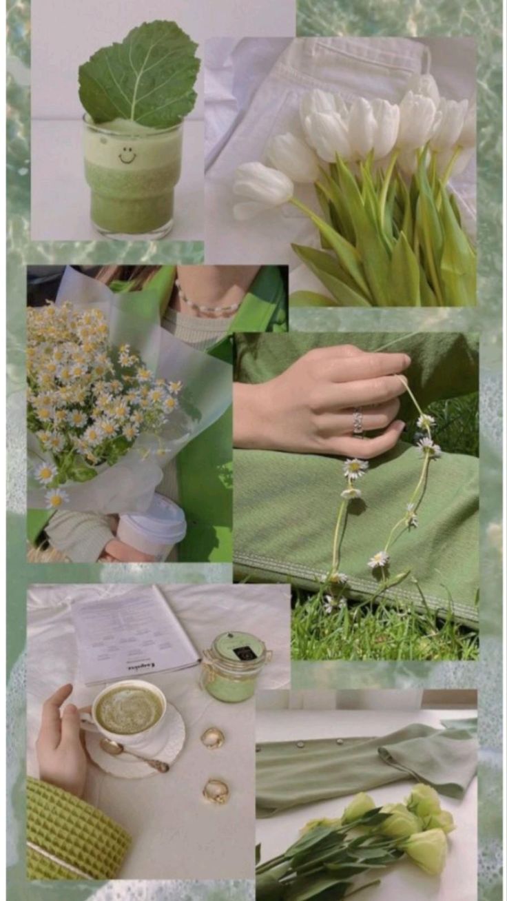 Rojhanie On Pins By You Wallpaper