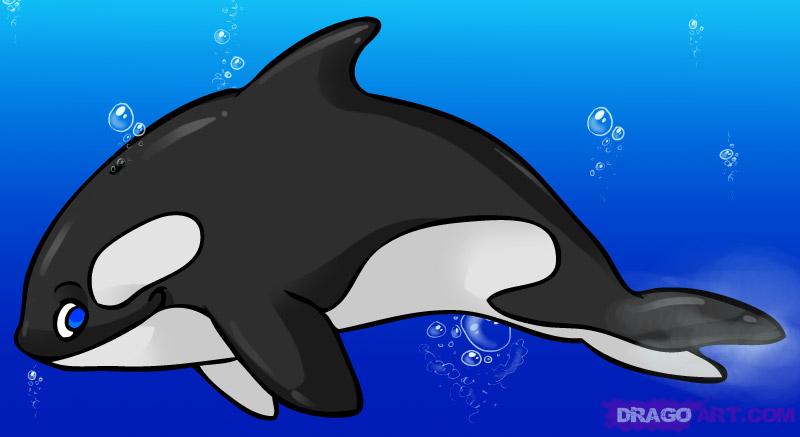 Pin Cute Cartoon Killer Whale