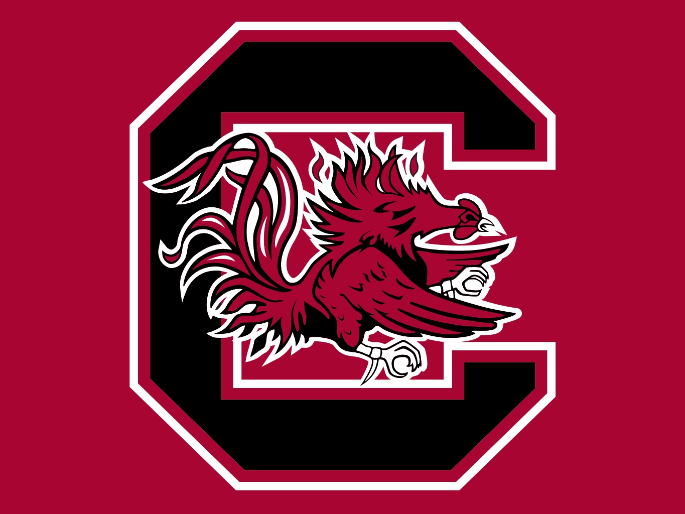 [50+] South Carolina Gamecocks Wallpapers Free | WallpaperSafari.com