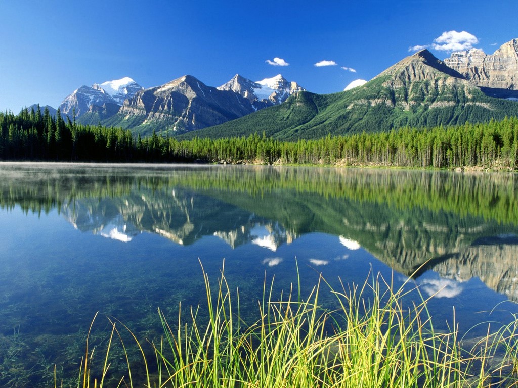 Canadian Rockies Wallpaper Awesome Canada Flag Designs HD