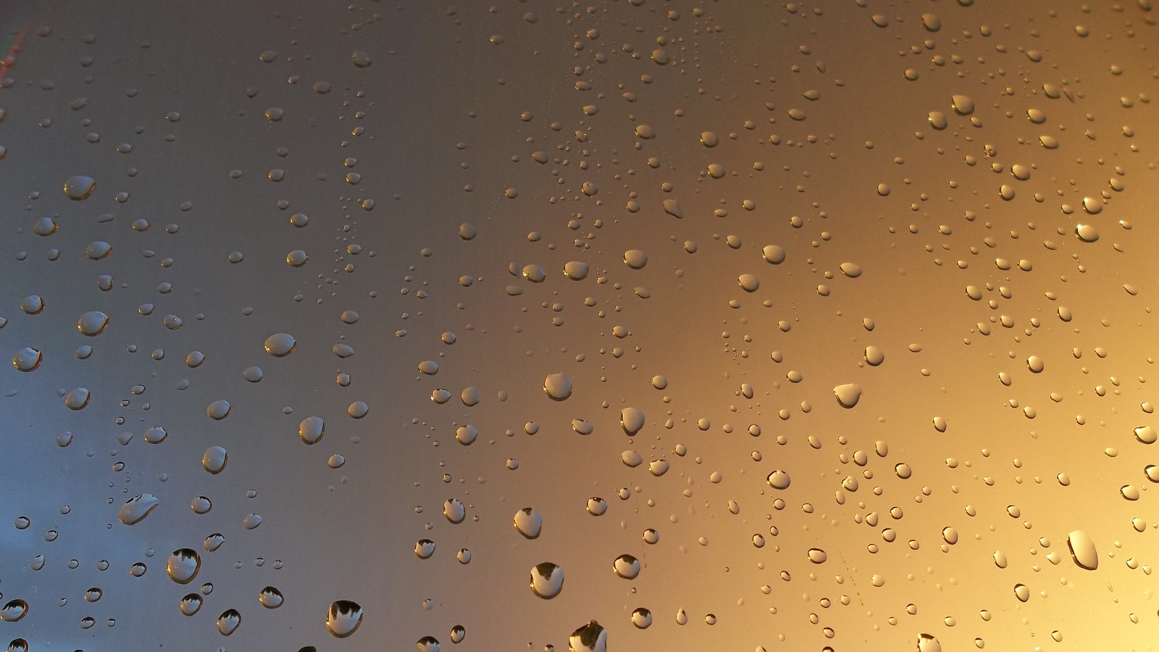 Rain Drops On Window HD Wallpaper 4k