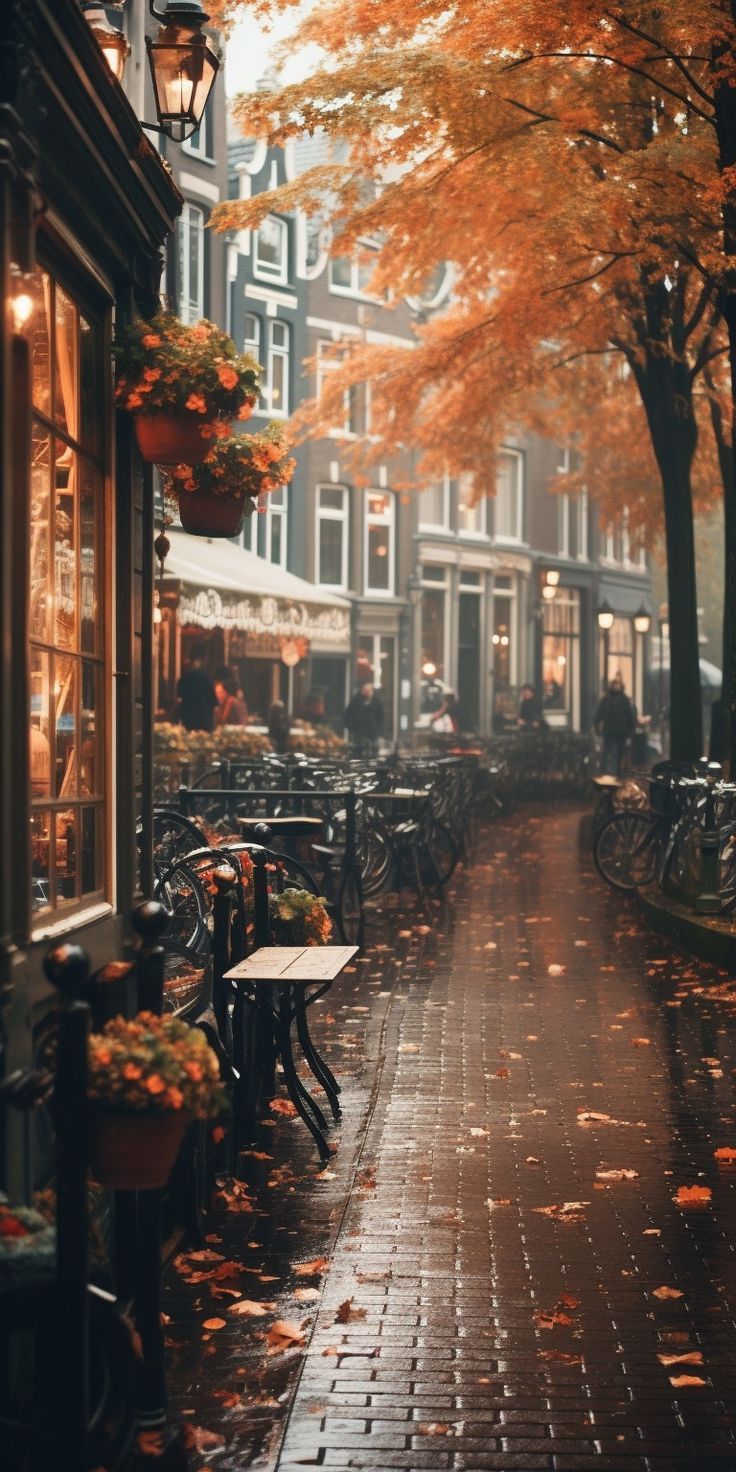 Gorgeous Fall Phone Wallpaper Artofit