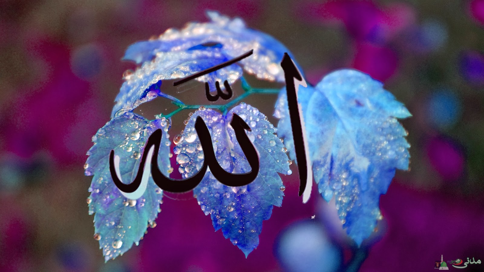 Allah Wallpaper Animation Hd Beautifull S