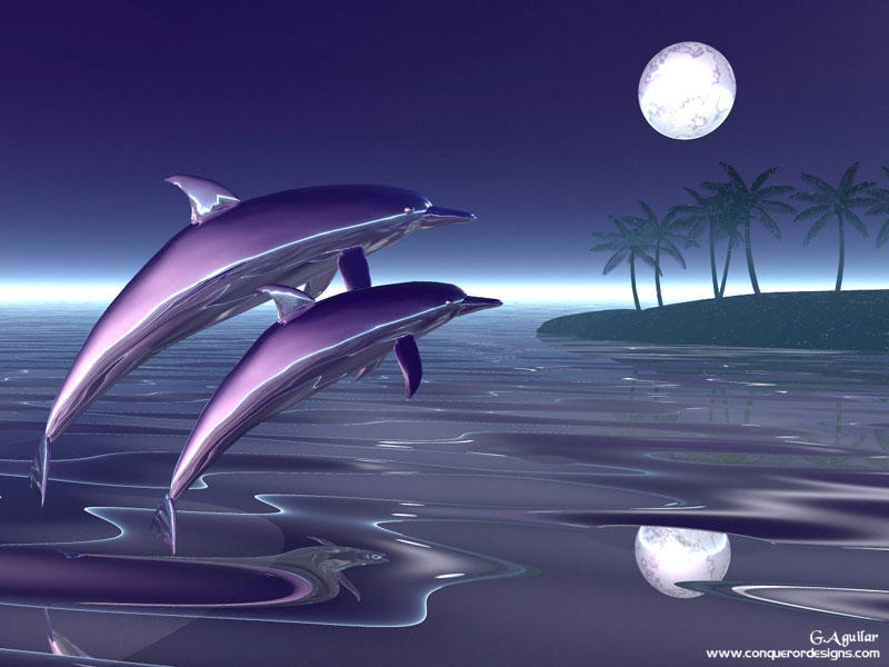 3d Dolphins New Animal Myspace Wallpaper Blicer