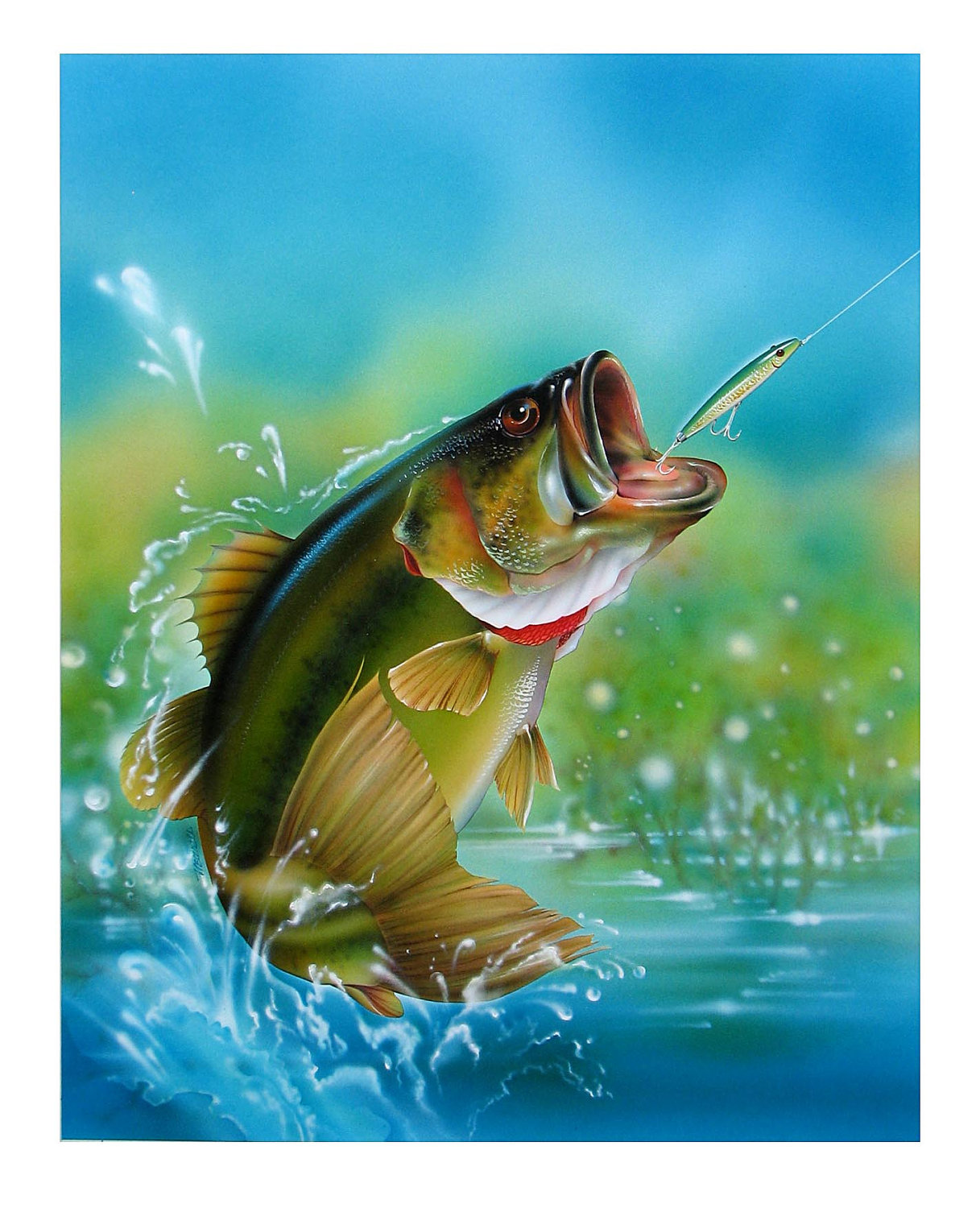 Largemouth Bass Paintings Airbrush Illustration Painted