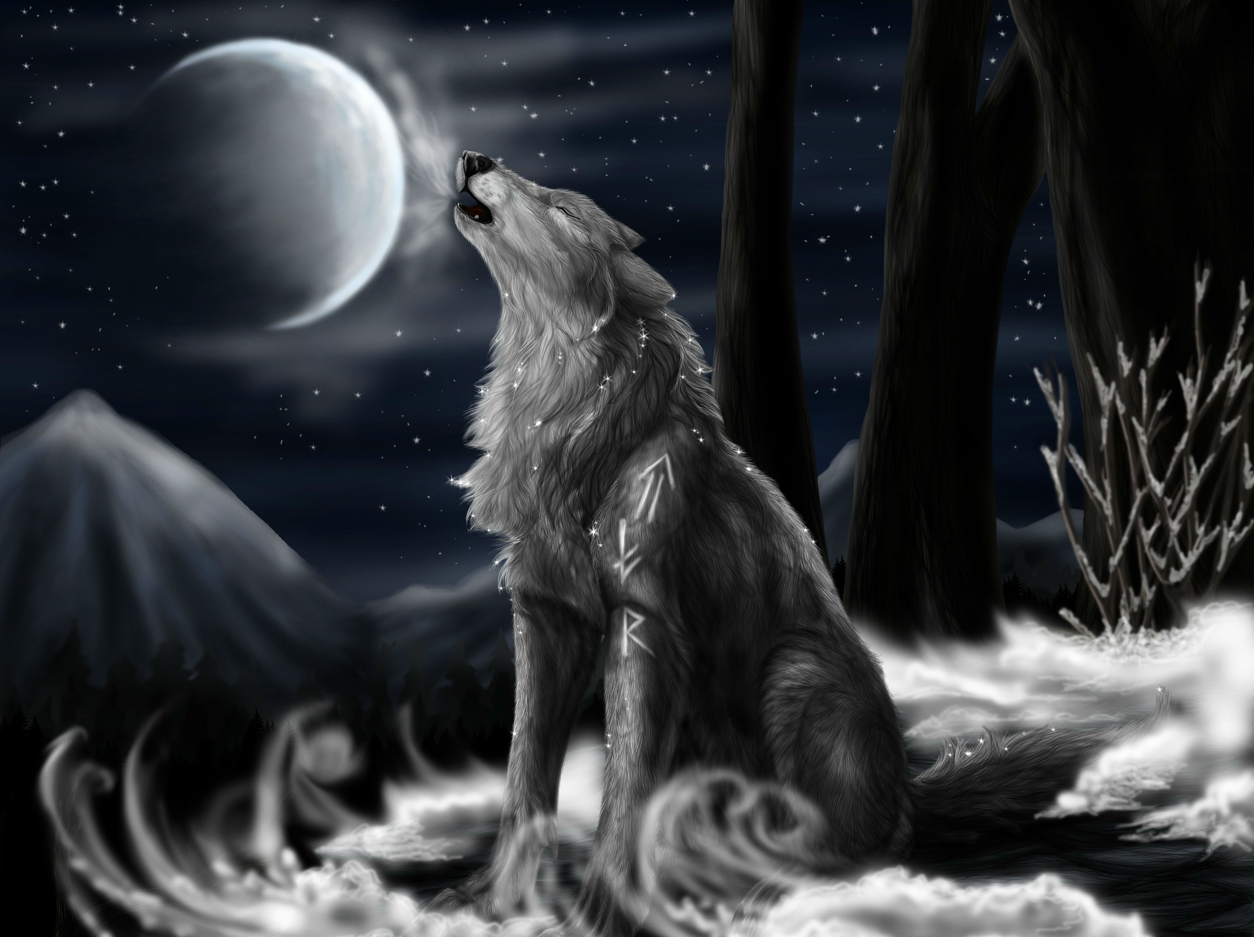 112 4K Ultra HD Wolf Wallpapers Background Images 4000x2990