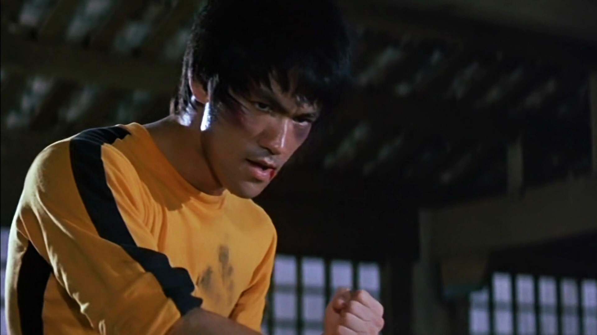 bruce lee call of the dragon pc game download