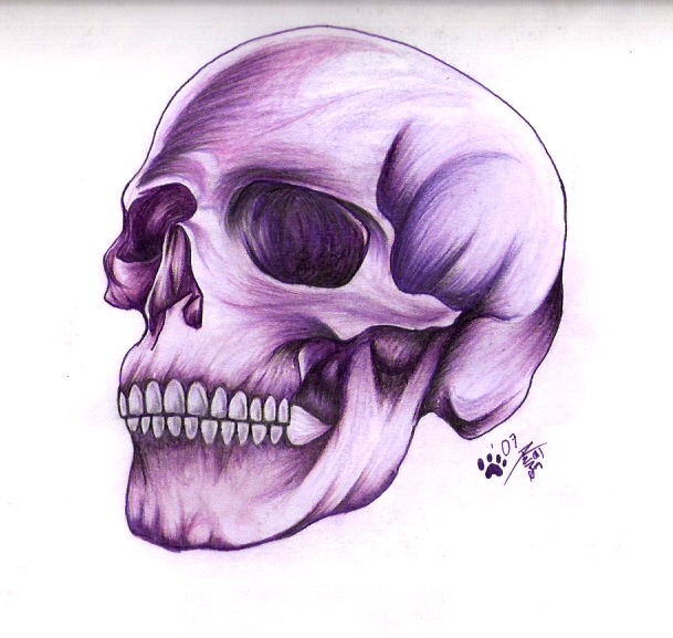 Purple Skull By Kato9lives