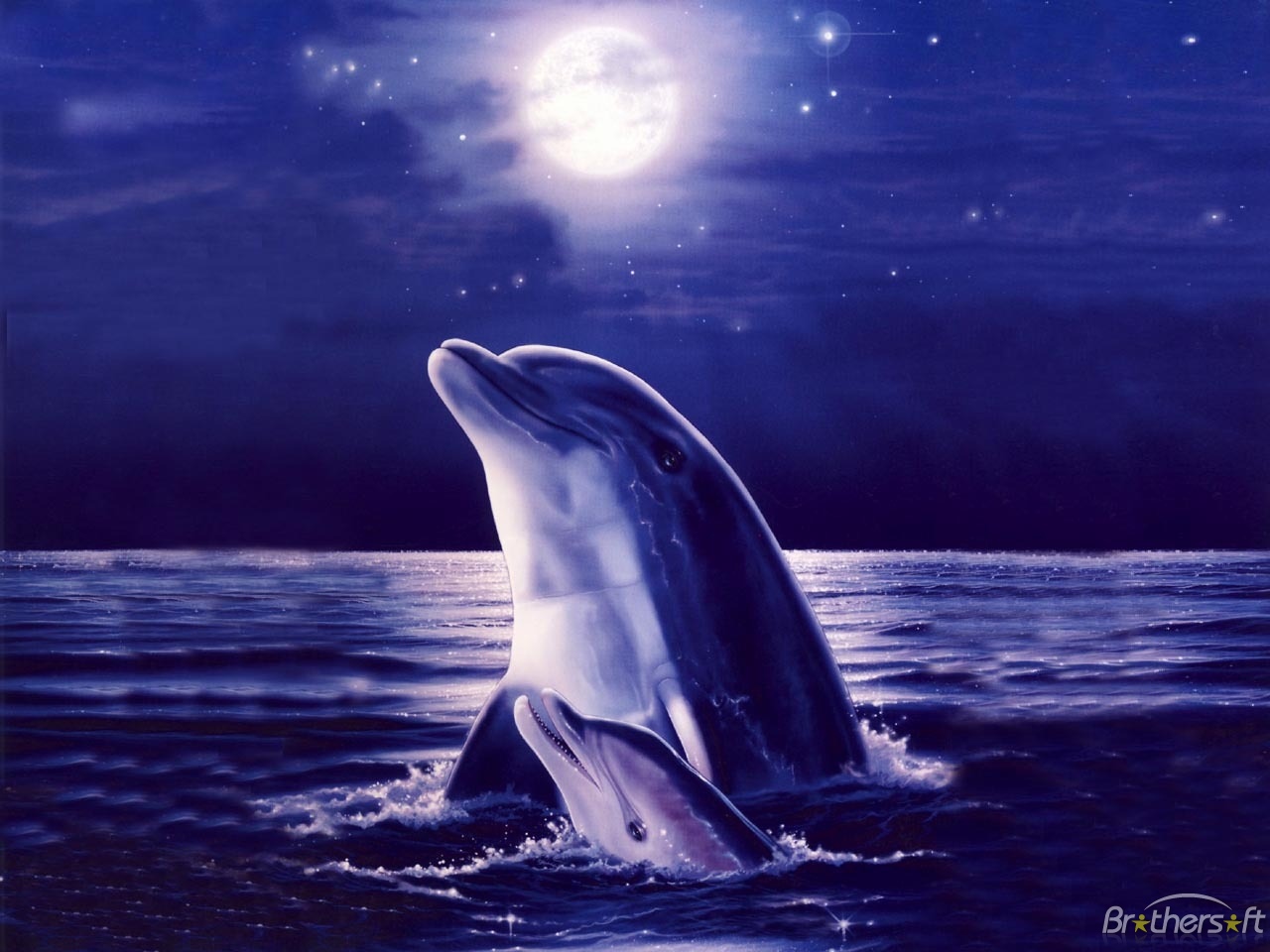 Pics Photos Dolphins Jumping In The Moonlight Wallpaper