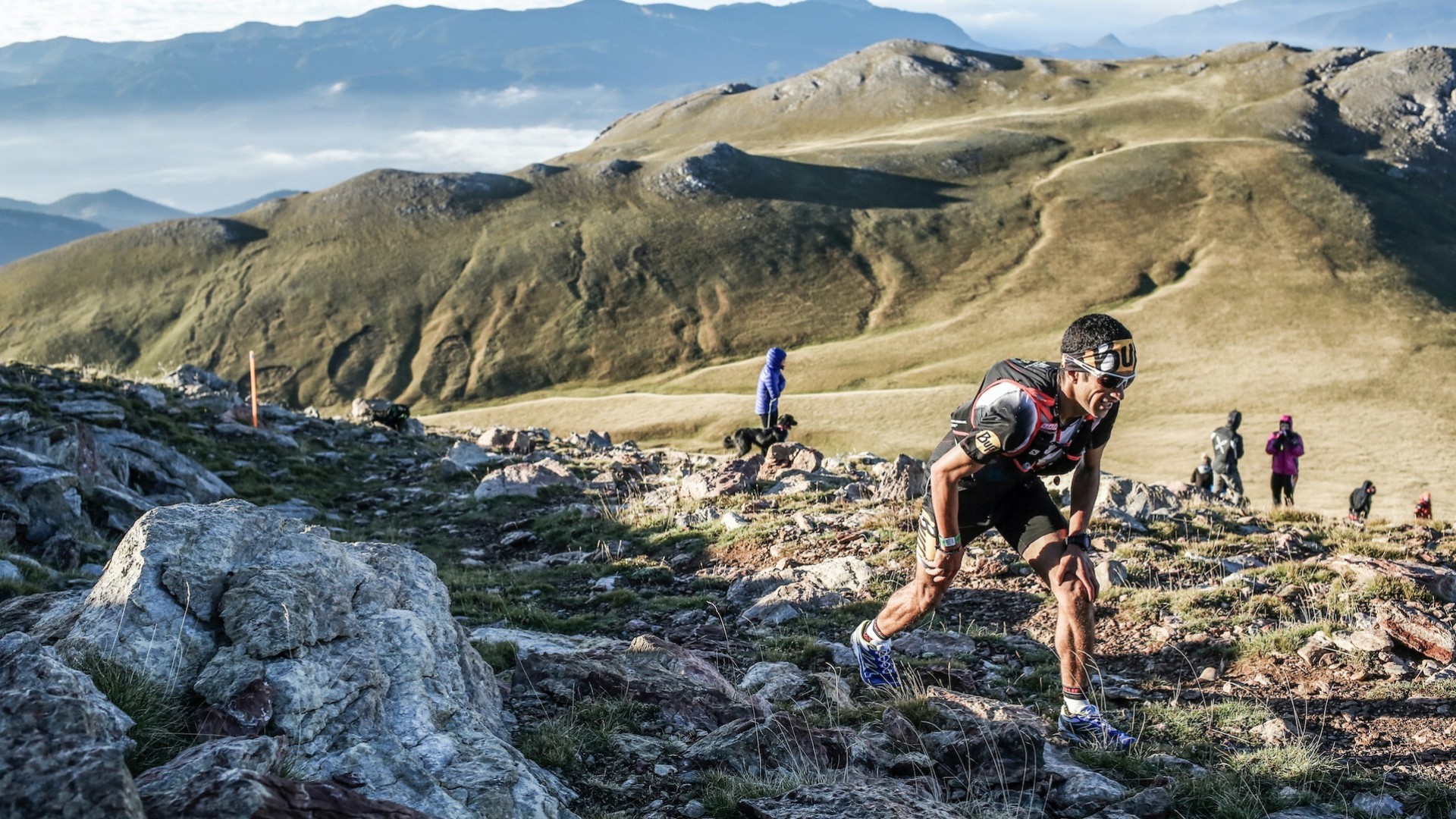 Trail Running Wallpaper