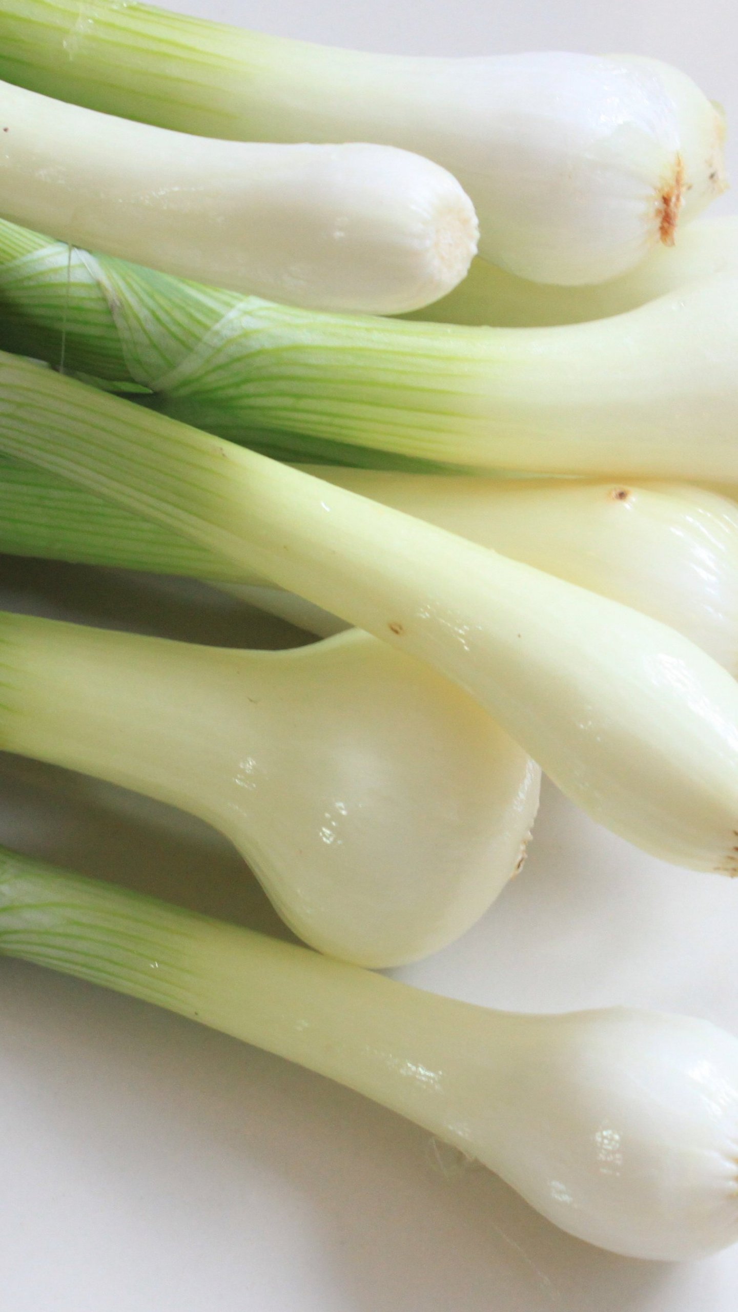 Green Onions Wallpaper
