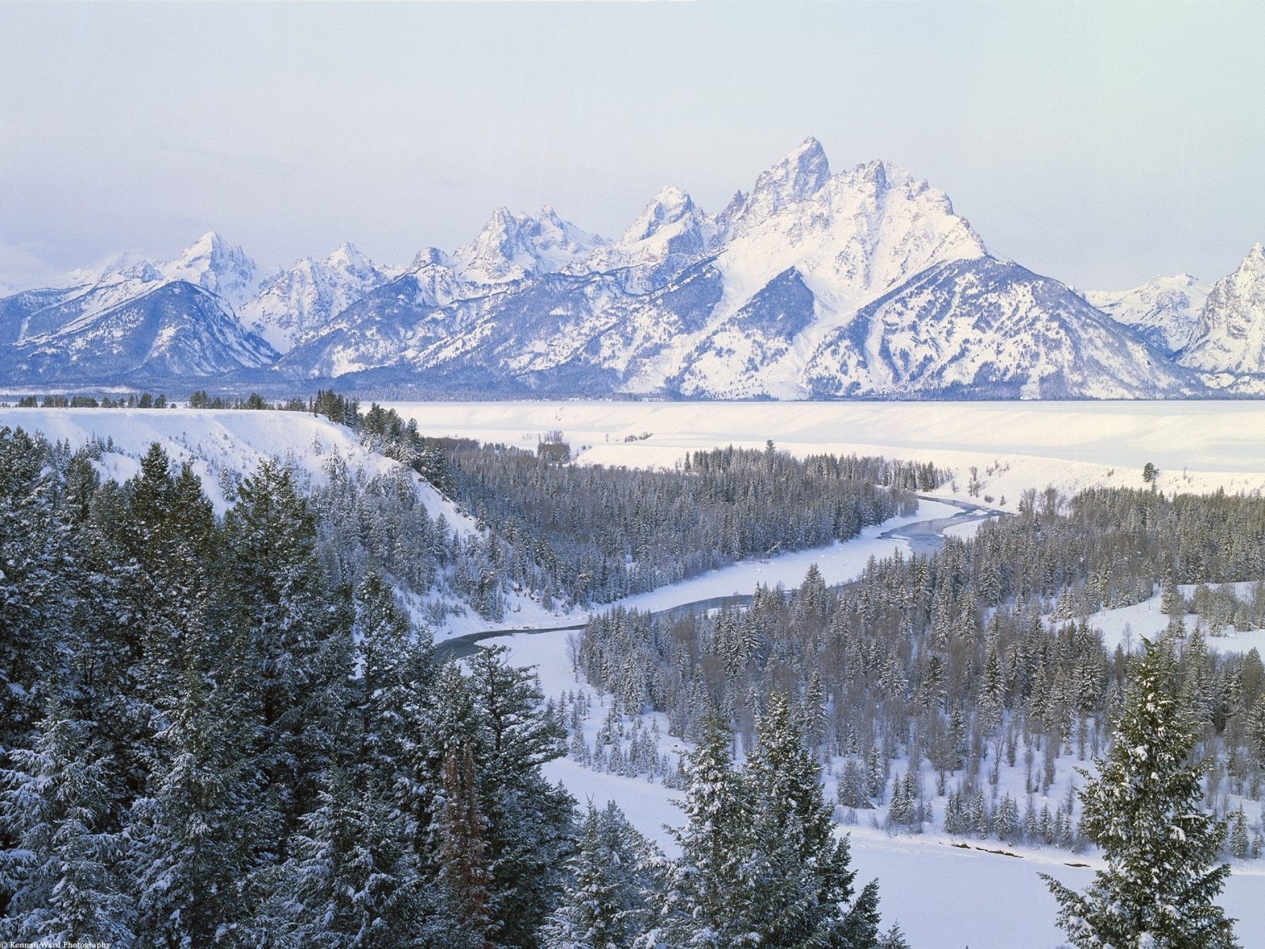 Winter Mountain Forest Wyoming wallpapers Winter Mountain Forest