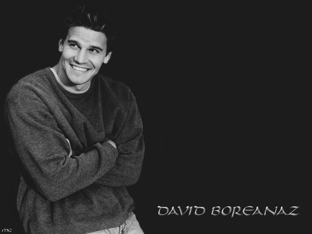 David Boreanaz Wallpaper