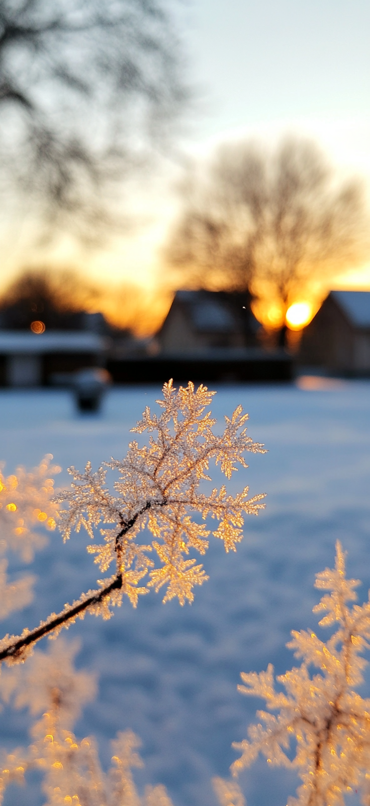Winter iPhone Wallpaper Everyday Inspo
