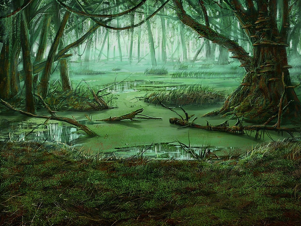 Swamp Puter Wallpaper Desktop Background