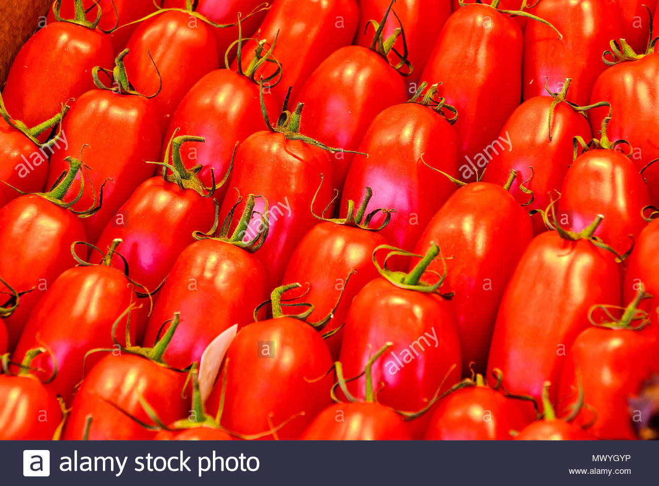 Background Of Roma Tomatoes Plum Tomato Also Known As A