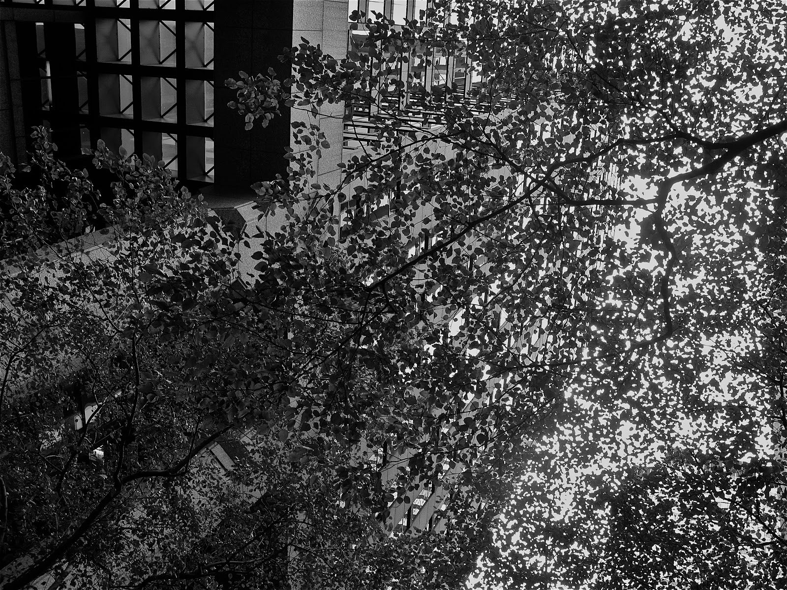 Black And White Camouflage Wallpaper Weekend in black and white