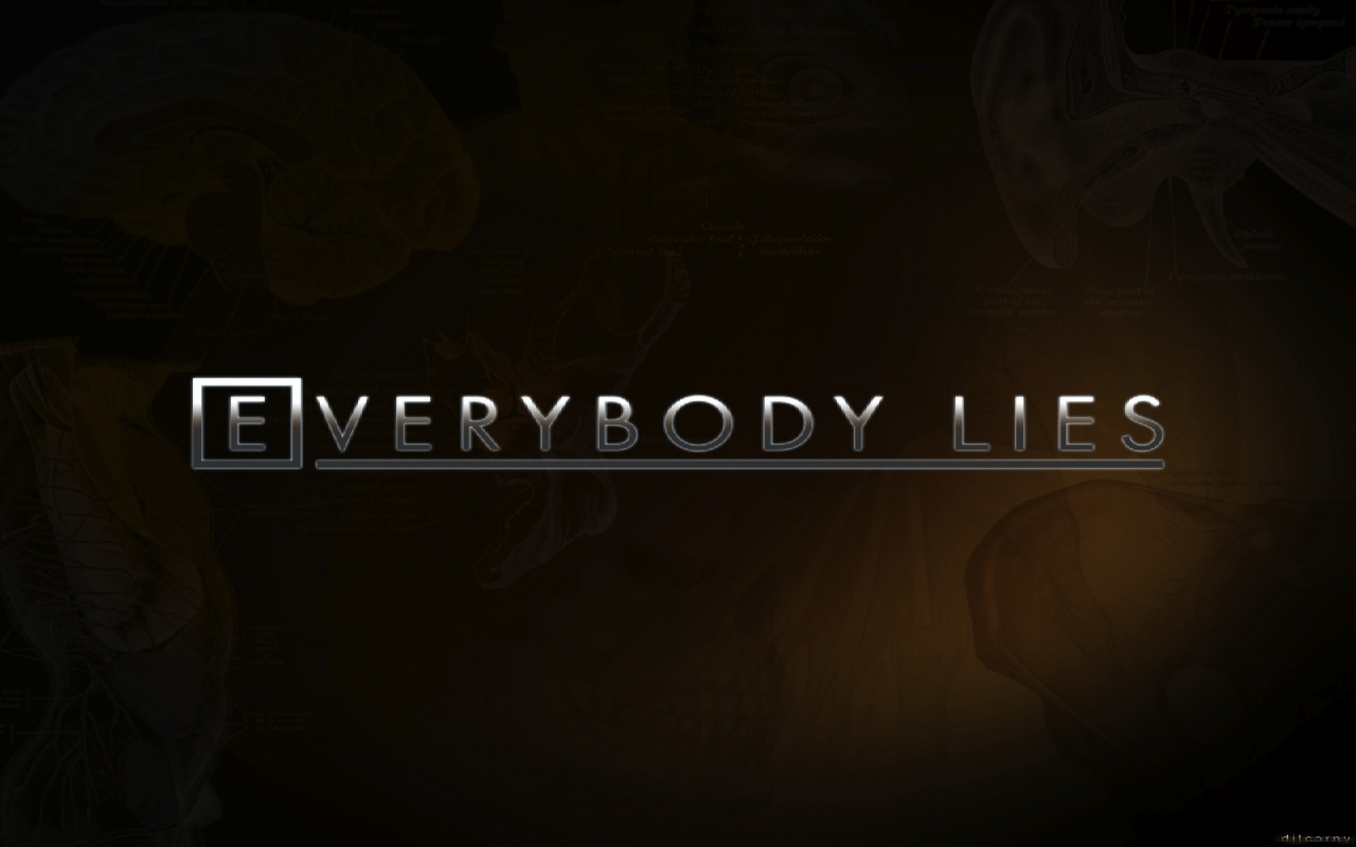 Dr House Everybody Lies Tv Series Md Wallpaper