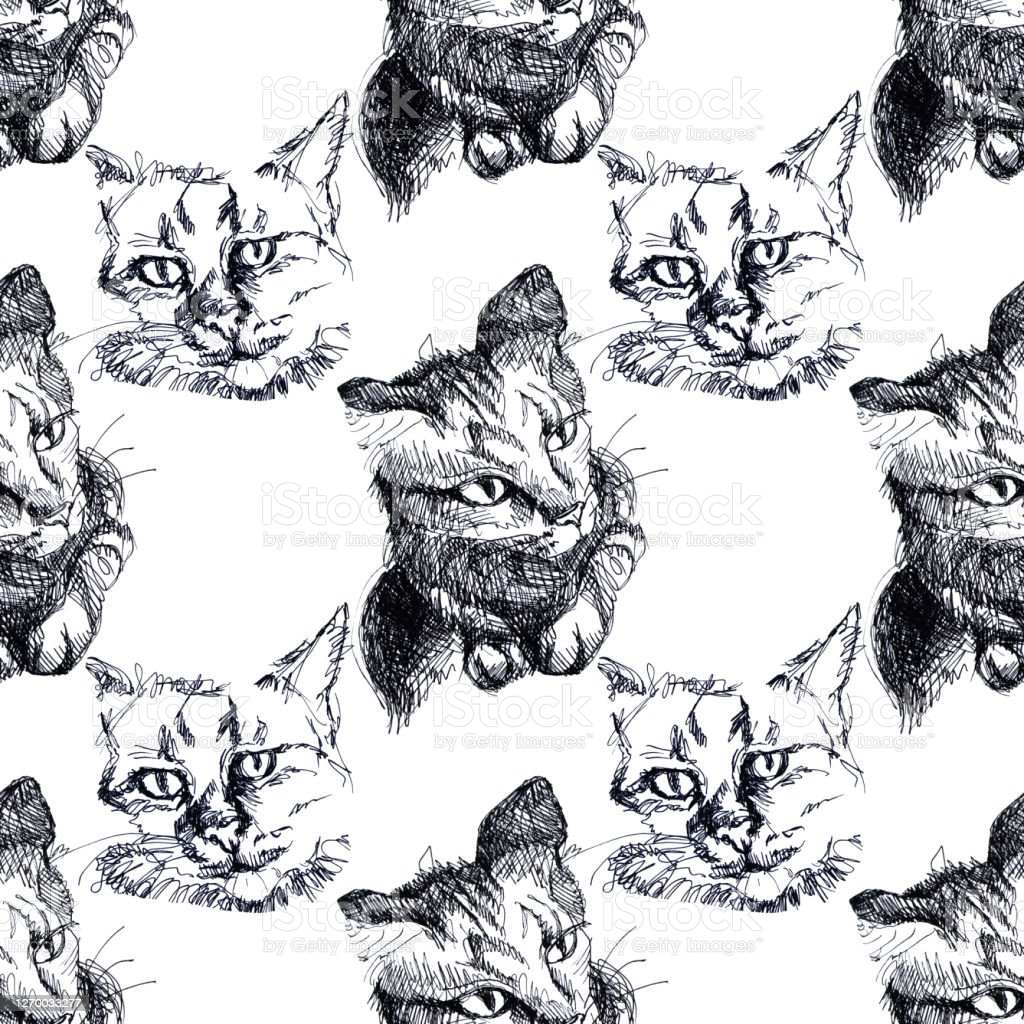 Seamless Pattern With Handdrawn Black And White Cats Art Creative 1024x1024