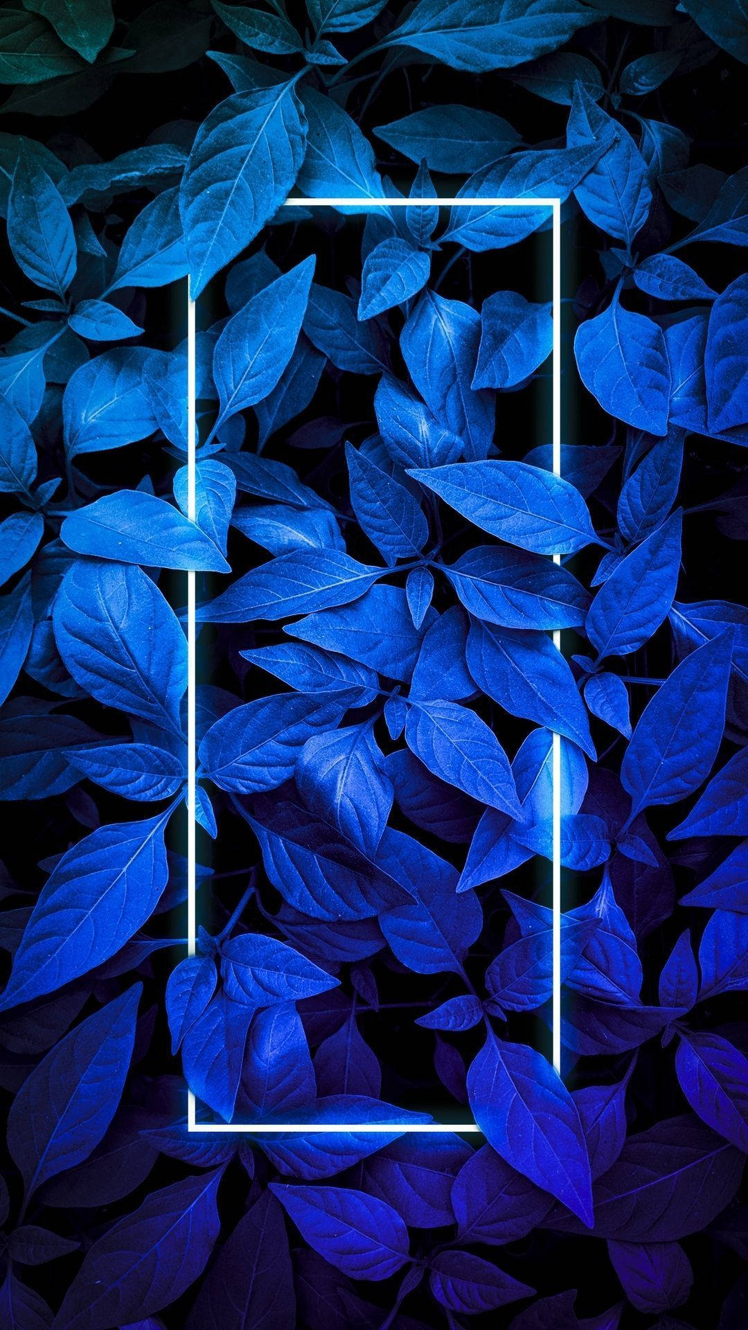Leaves iPhone Wallpaper