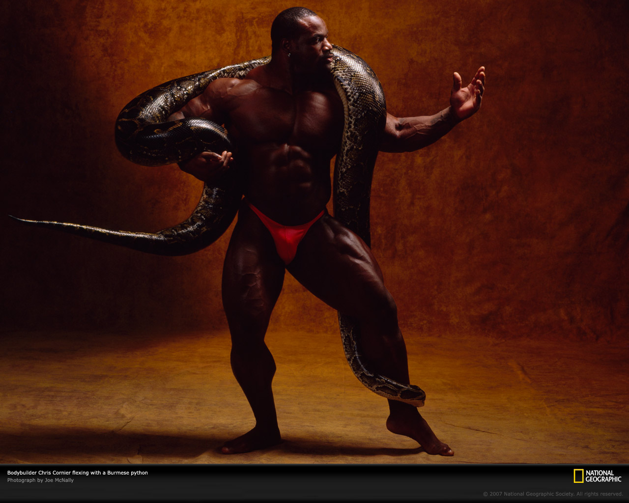 Top Bodybuilder Here Are The Monstrous Male Wallpaper
