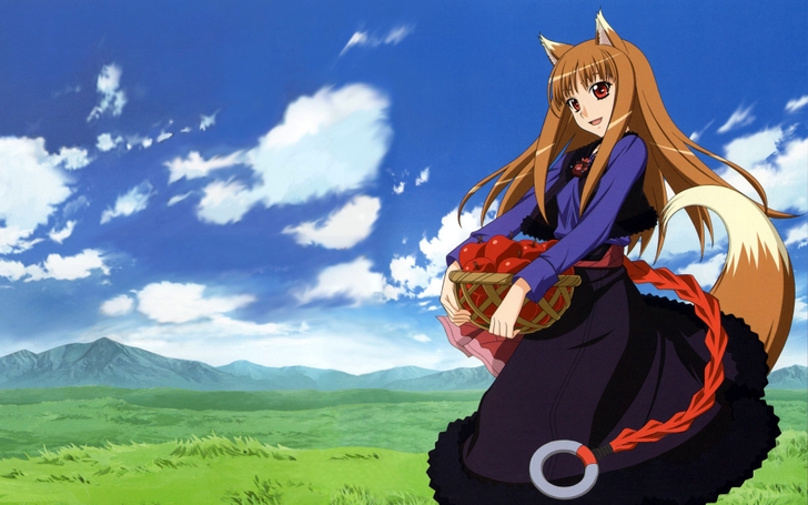 Spice And Wolf Animal Ears Holo The Wise Wallpaper High