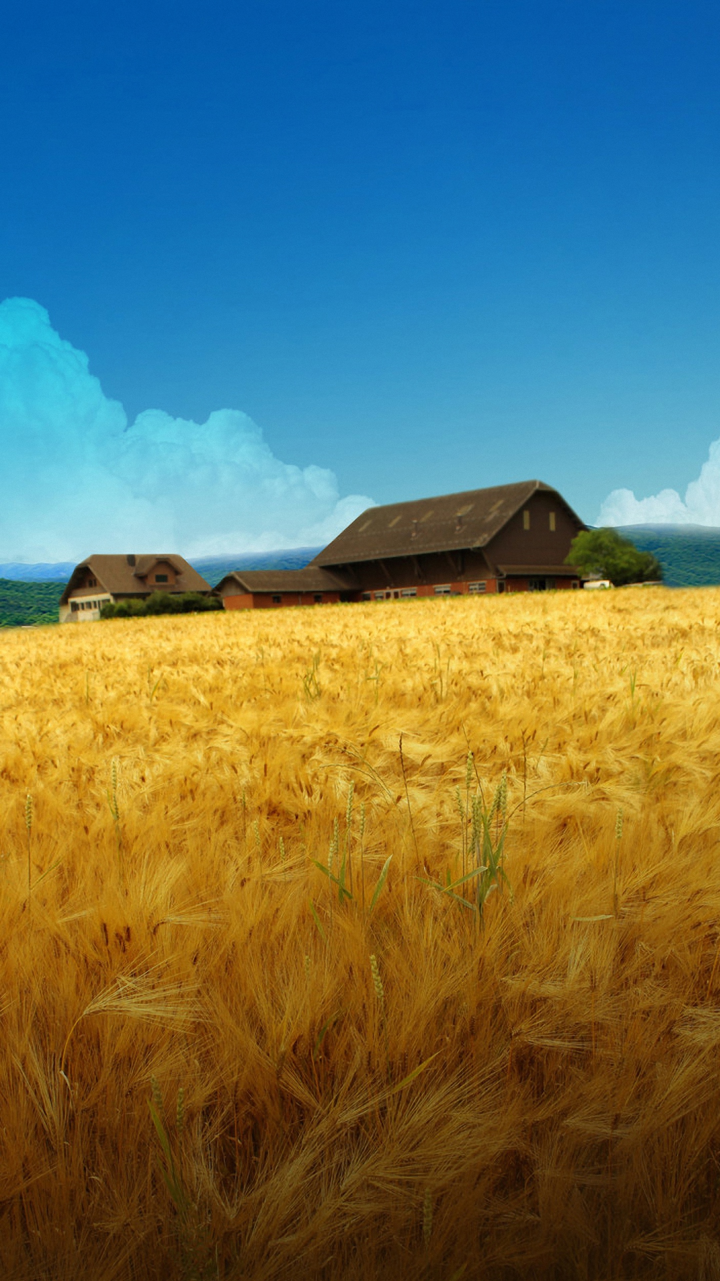 Your Lg G4 HD Farm Scenery Wallpaper