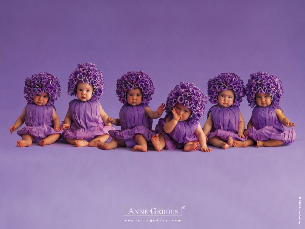 Anne Geddes Baby Wallpaper For Your