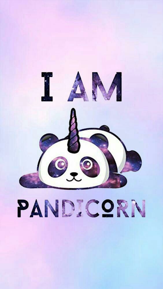 I Am Pandicorn Wallpaper Panda In Cute