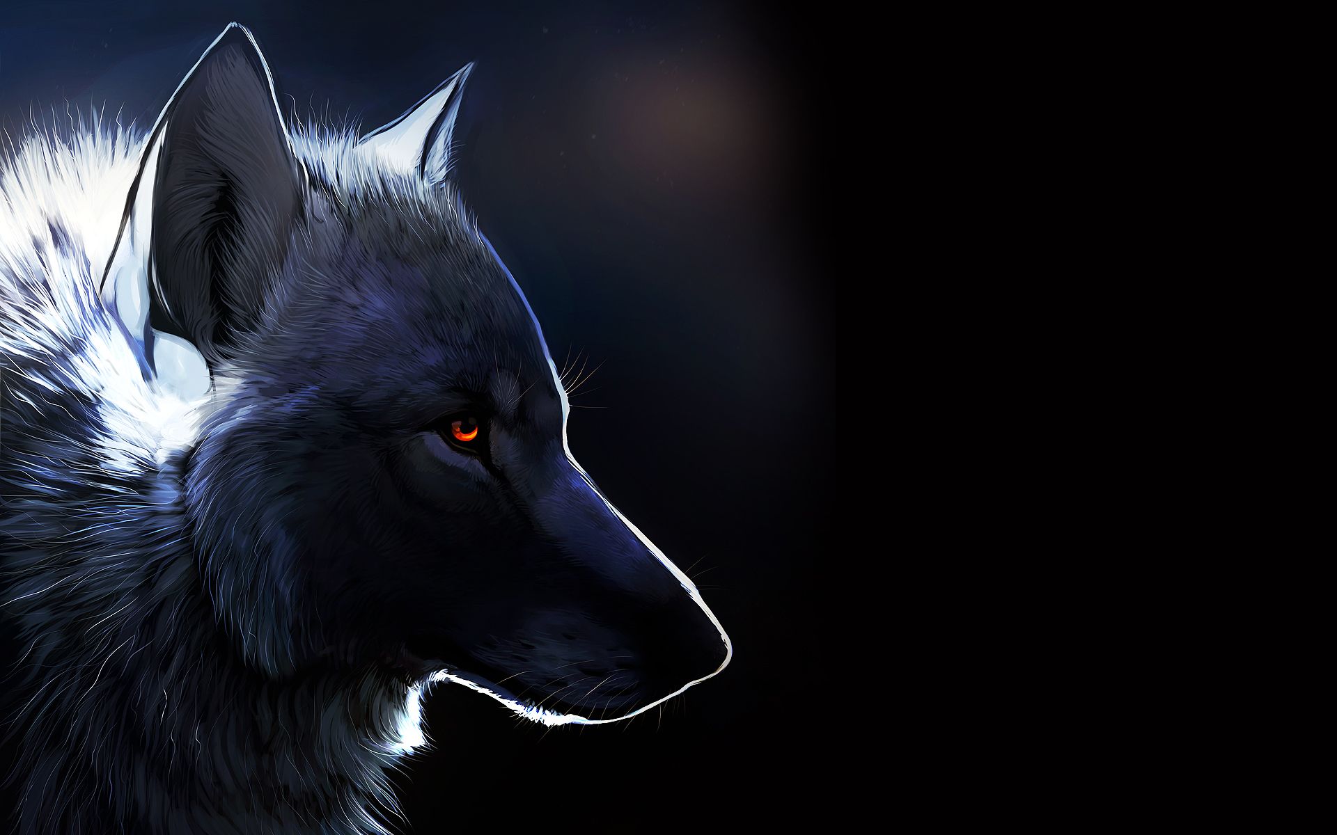 Black Background Wolf Amber Eyes