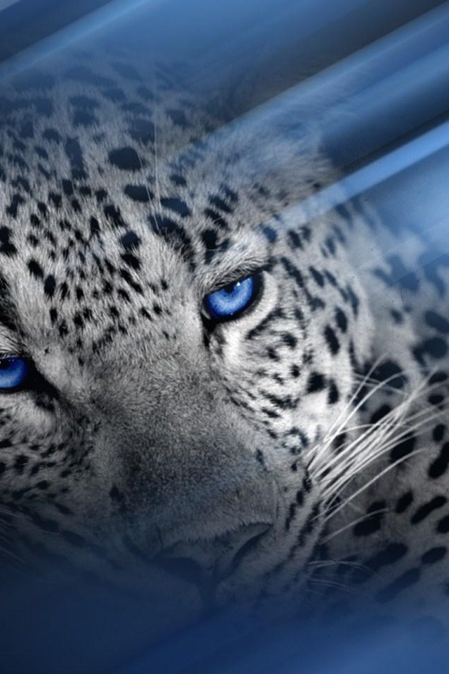 Snow Leopard Simply Beautiful iPhone Wallpaper