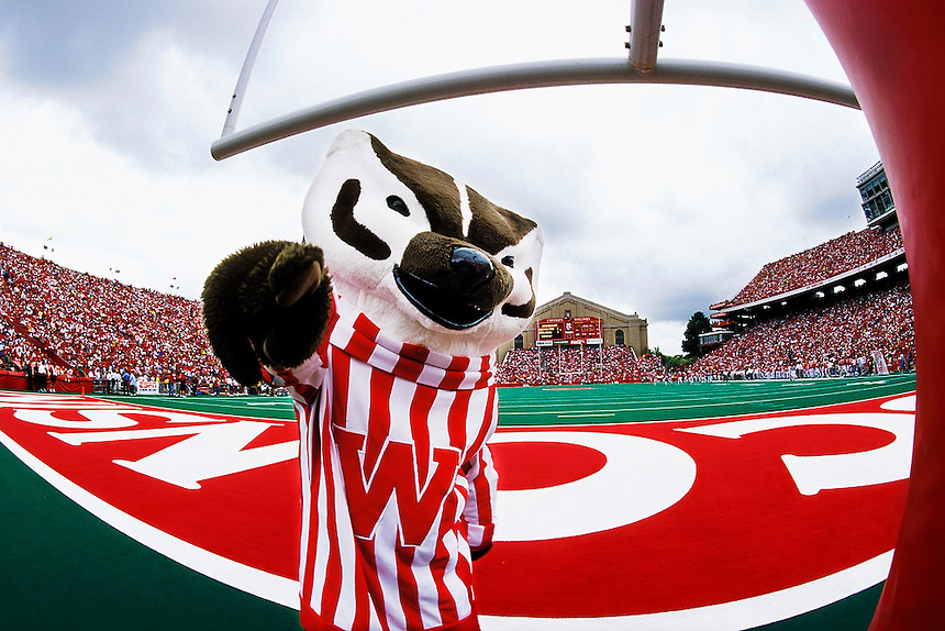Bucky Badger Football Cheers From The
