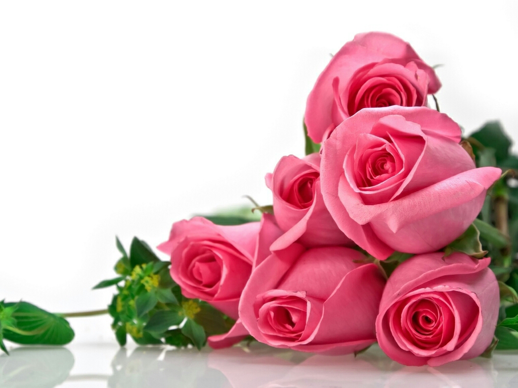 For Flower Lovers Flowers Wallpaper Beautiful Roses Background