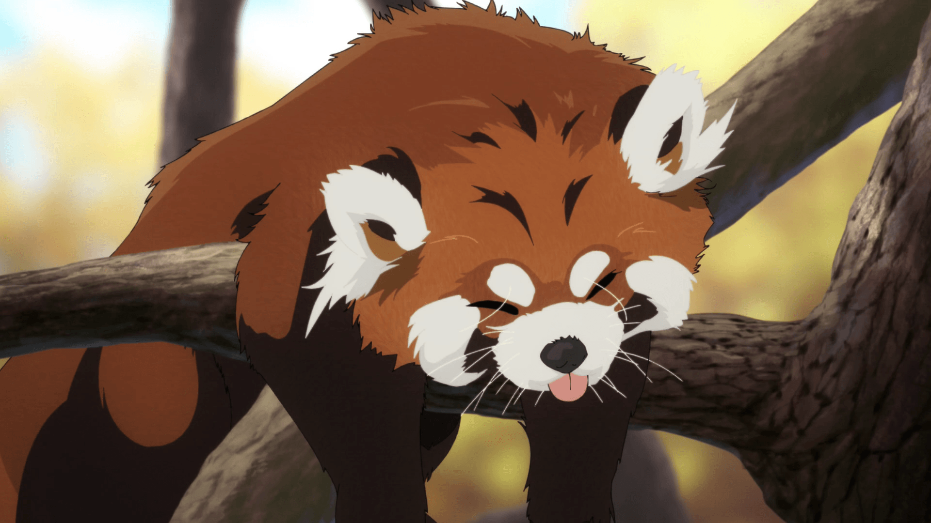 Red Panda Anime Wallpaper On