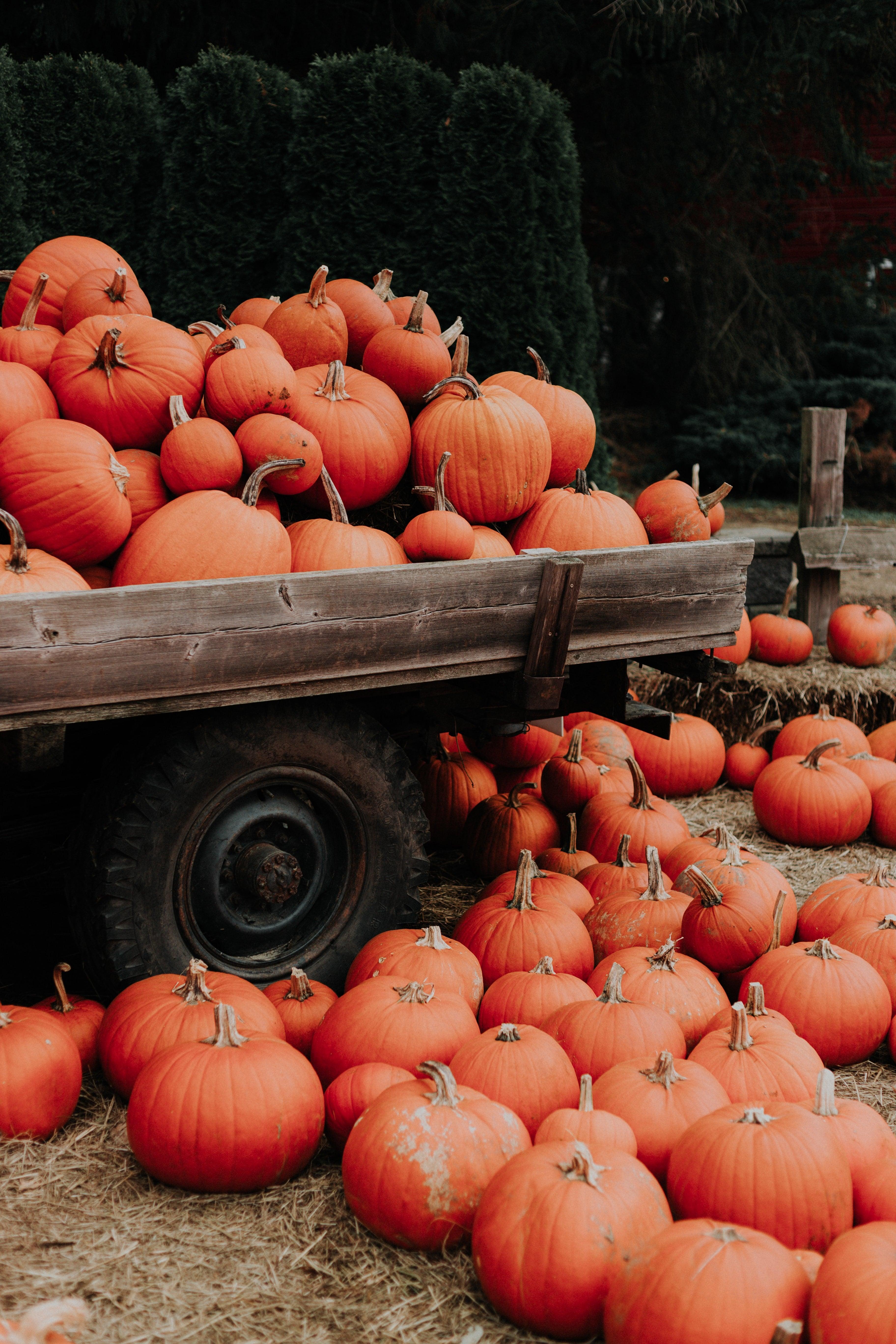 Fall iPhone Wallpaper Popsugar Tech