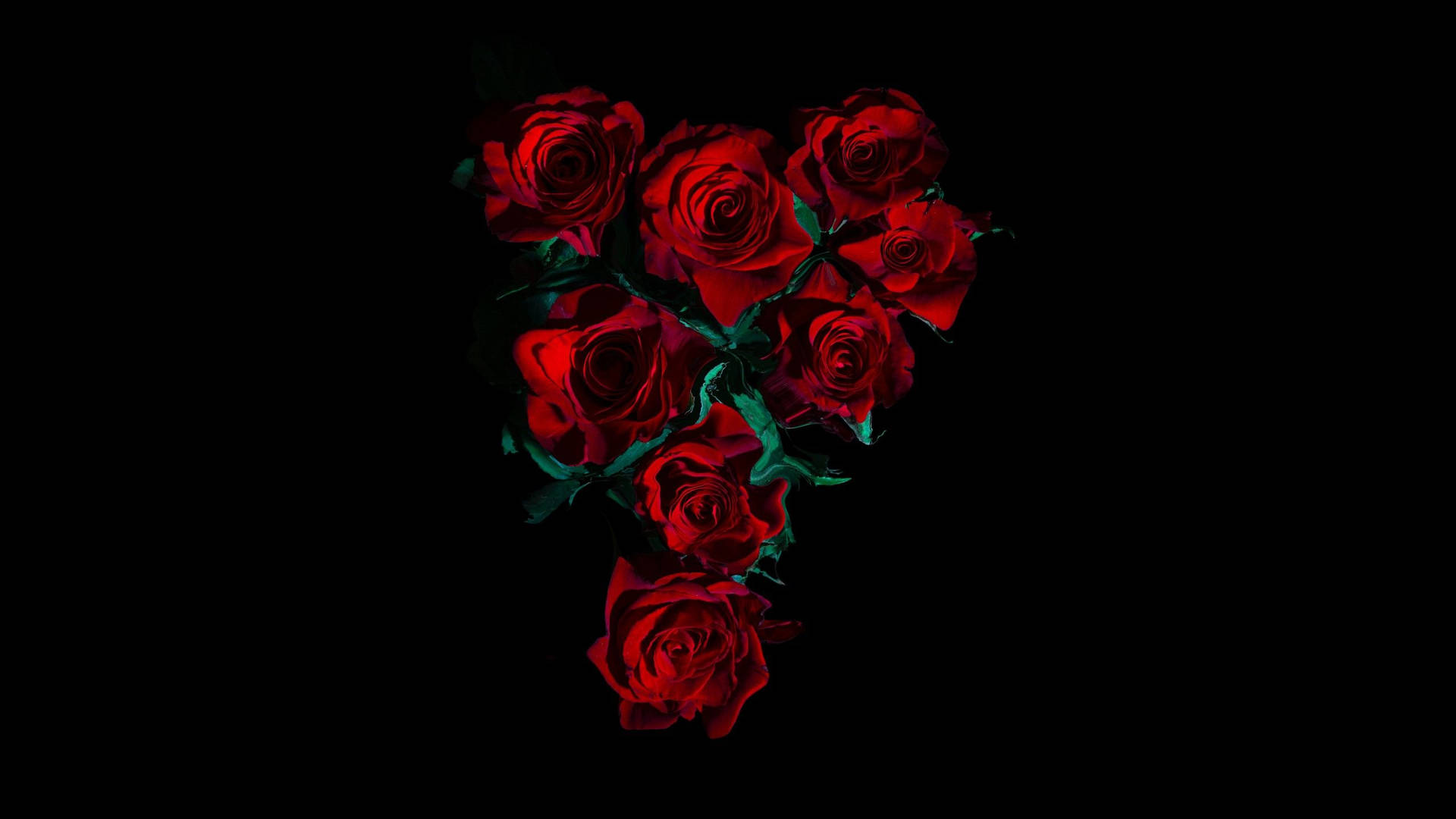 Enigmatic Beauty Of Dark HD Flowers Wallpaper