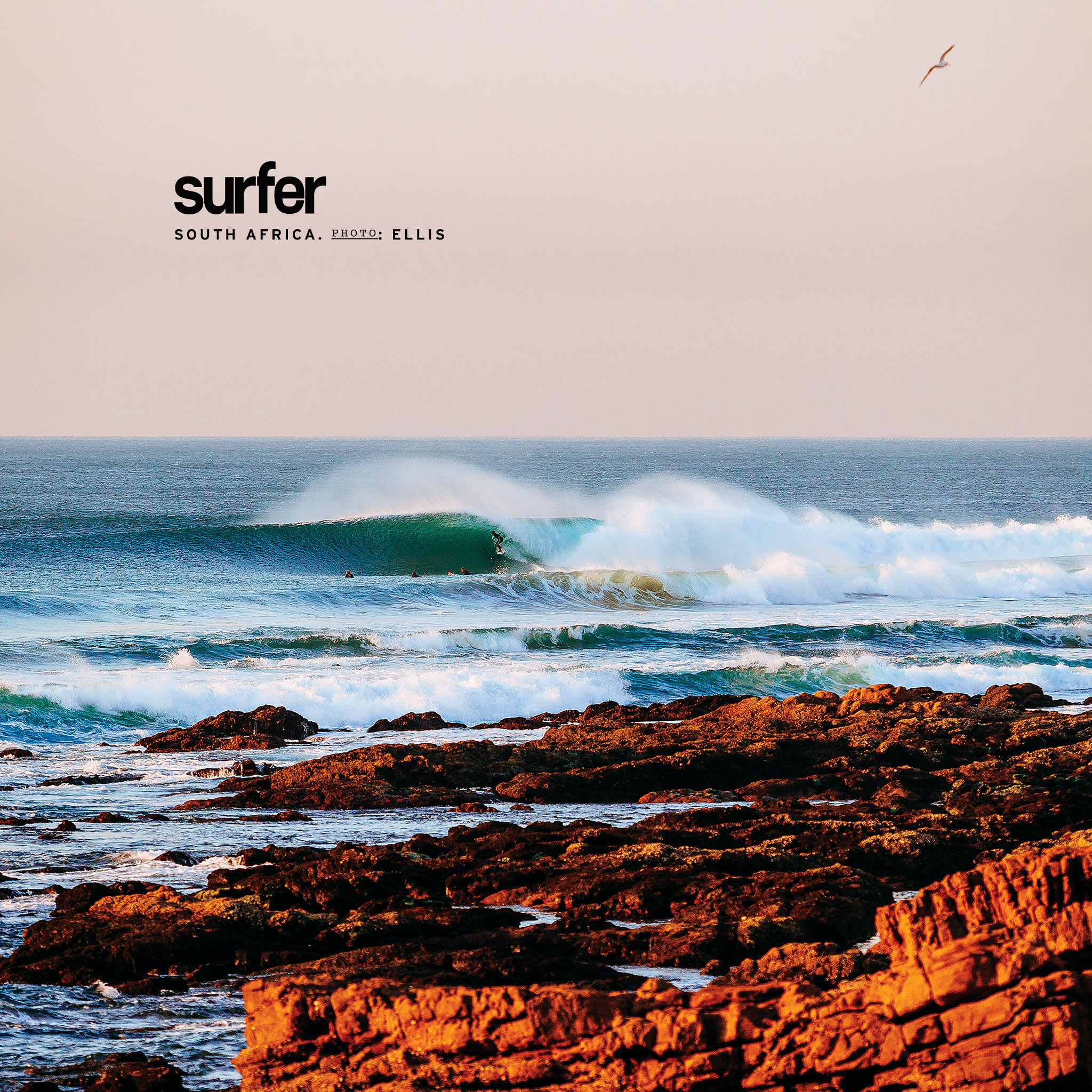 Wallpaper Surfer Magazine