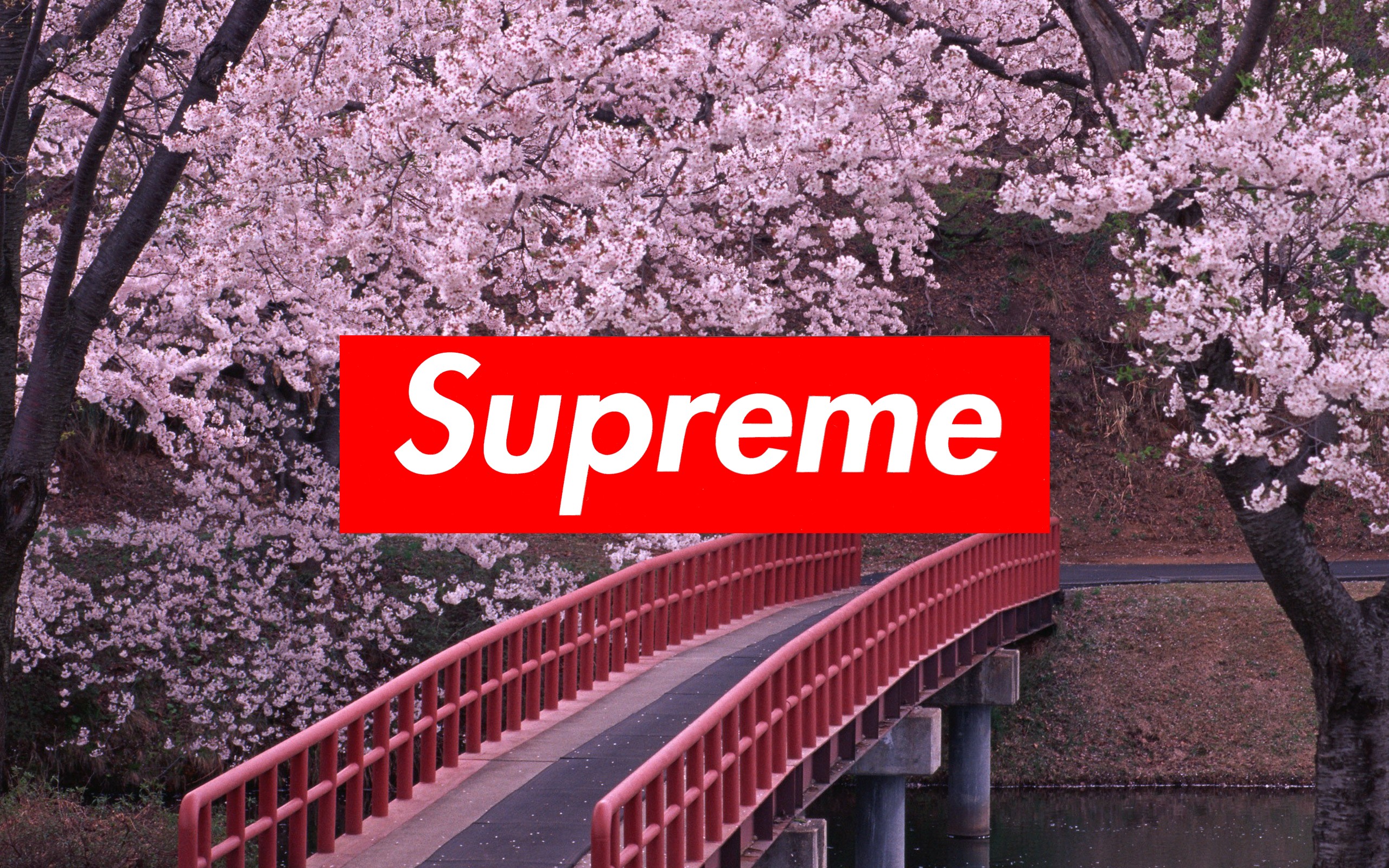 download the new for ios Photo Supreme 2023.2.0.5038