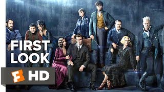 Fantastic Beasts The Crimes Of Grindelwald First Look