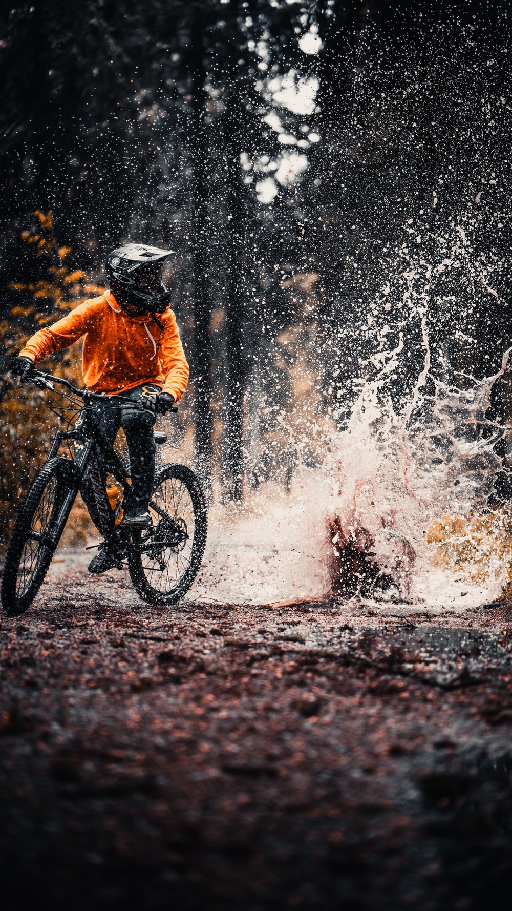 Mountain Bike Pictures Image