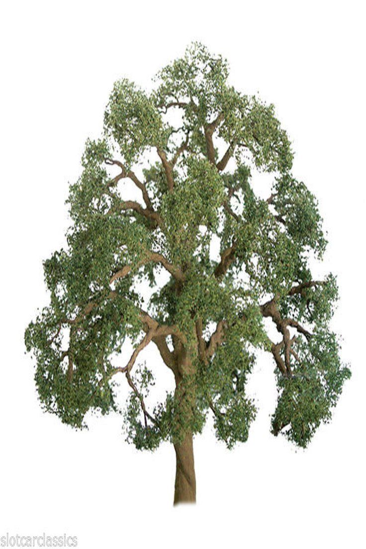 Jtt Scenery Professional Series Live Oak Tree Pk Ho