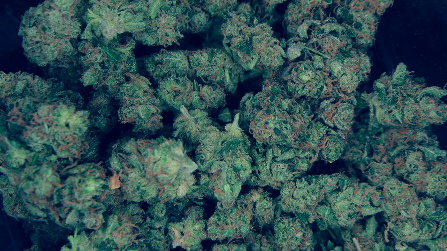 Featured image of post Kush Wallpaper Hd These 1 kush iphone wallpapers are free to download for your iphone 4s