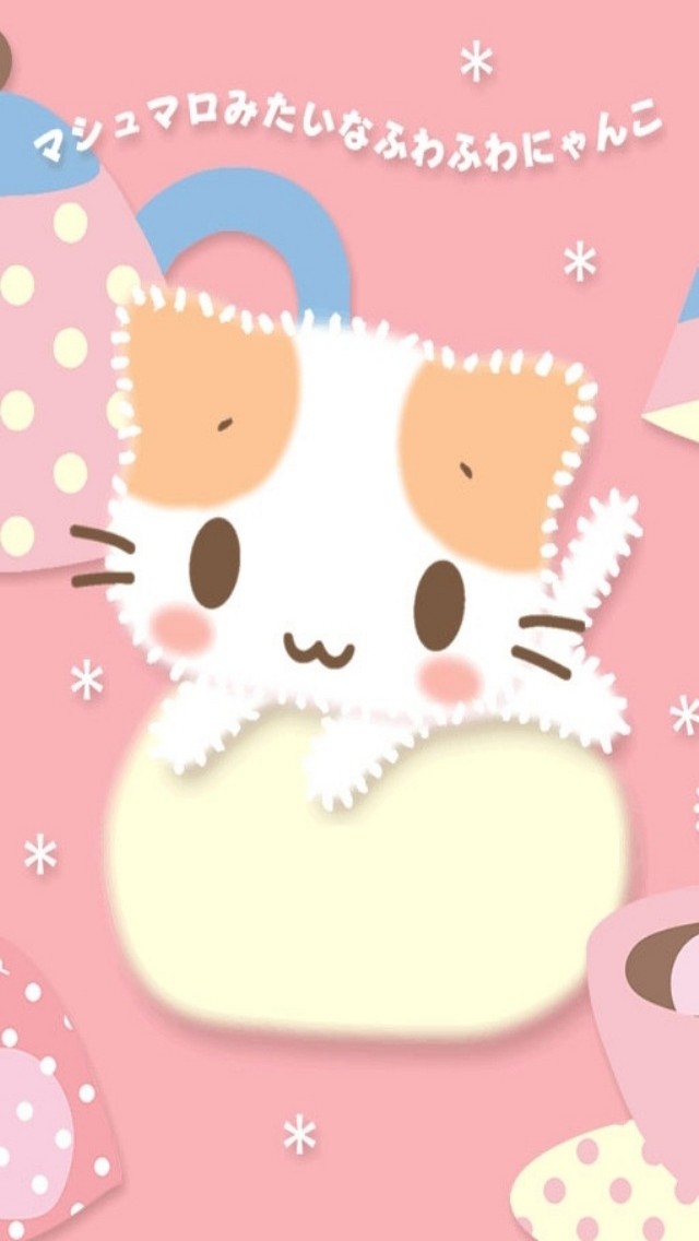 cute kitty of Korea iPhone 5 wallpapers HD