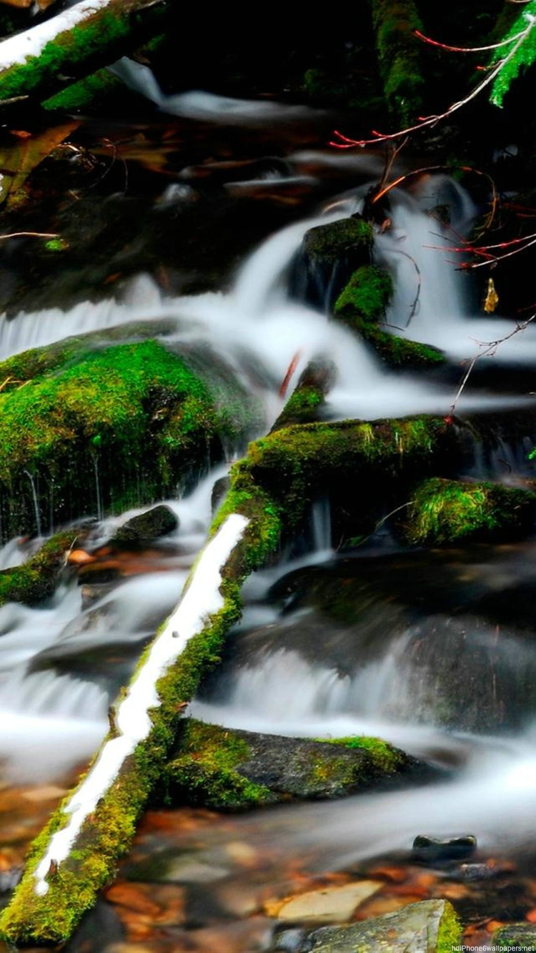 Beautiful Water Green Nature iPhone Wallpaper HD Cool