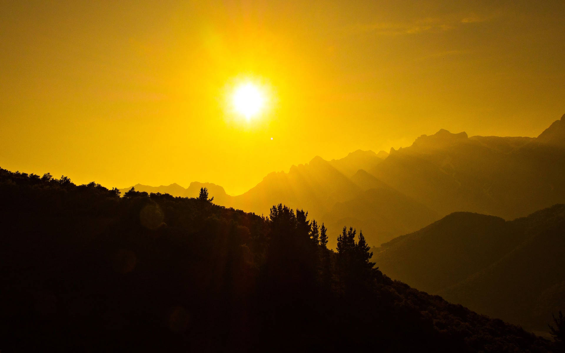 Nature Wallpaper S