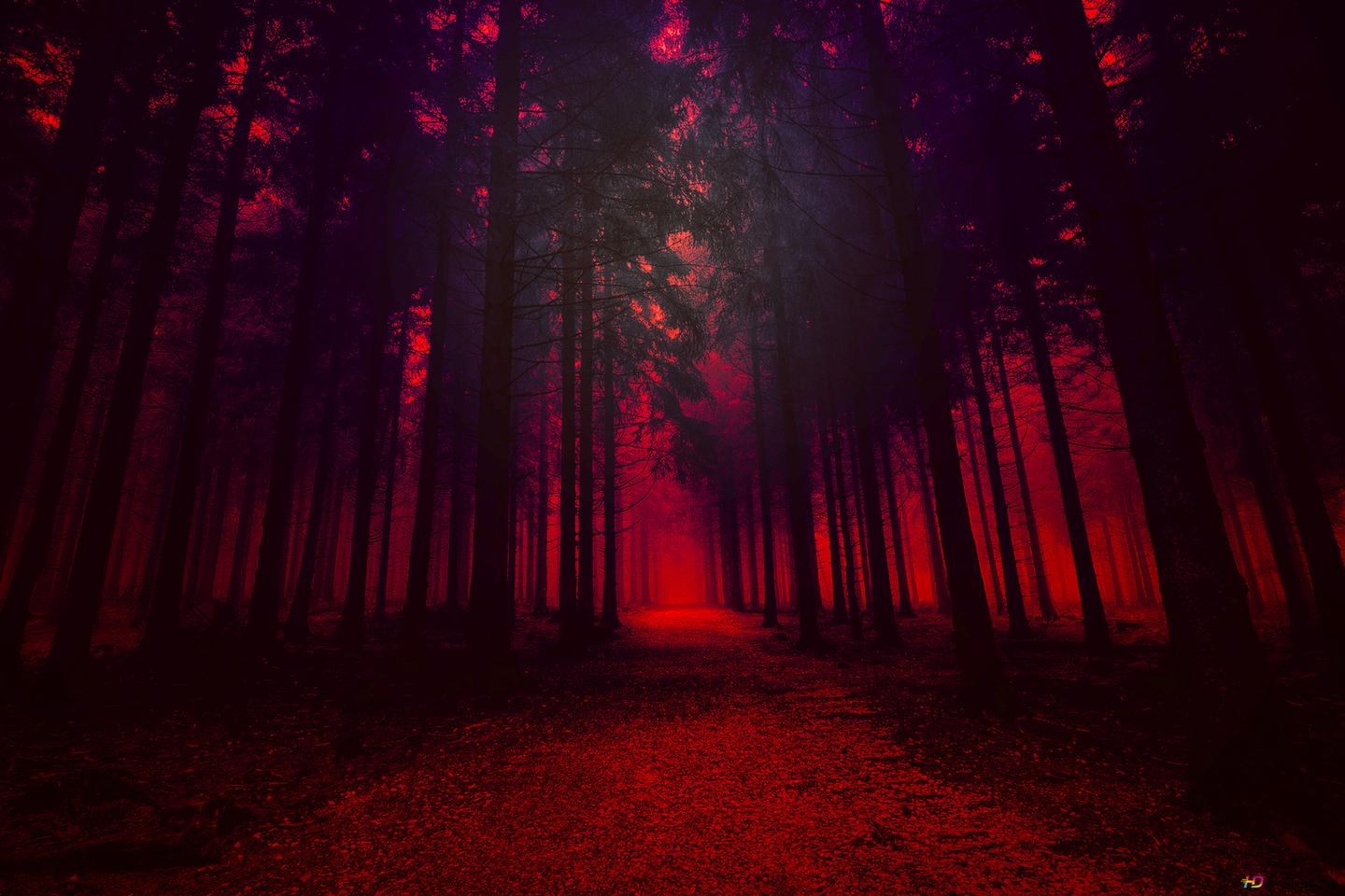 Red Forest Wallpaper