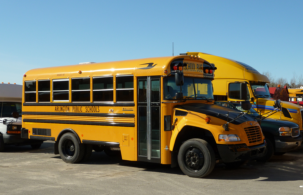 File Arlington School Bus Jpg Wikimedia Mons