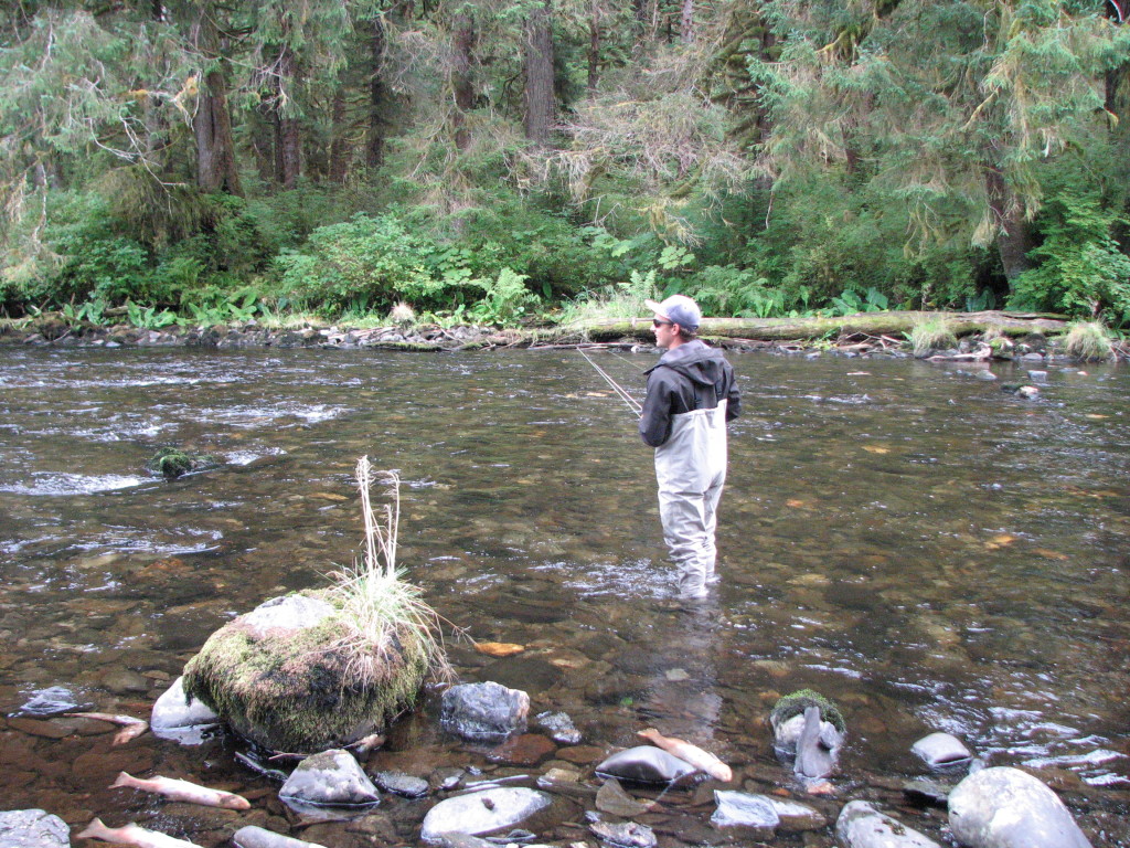 New Spring Fly Fishing Chinook Shores Lodge